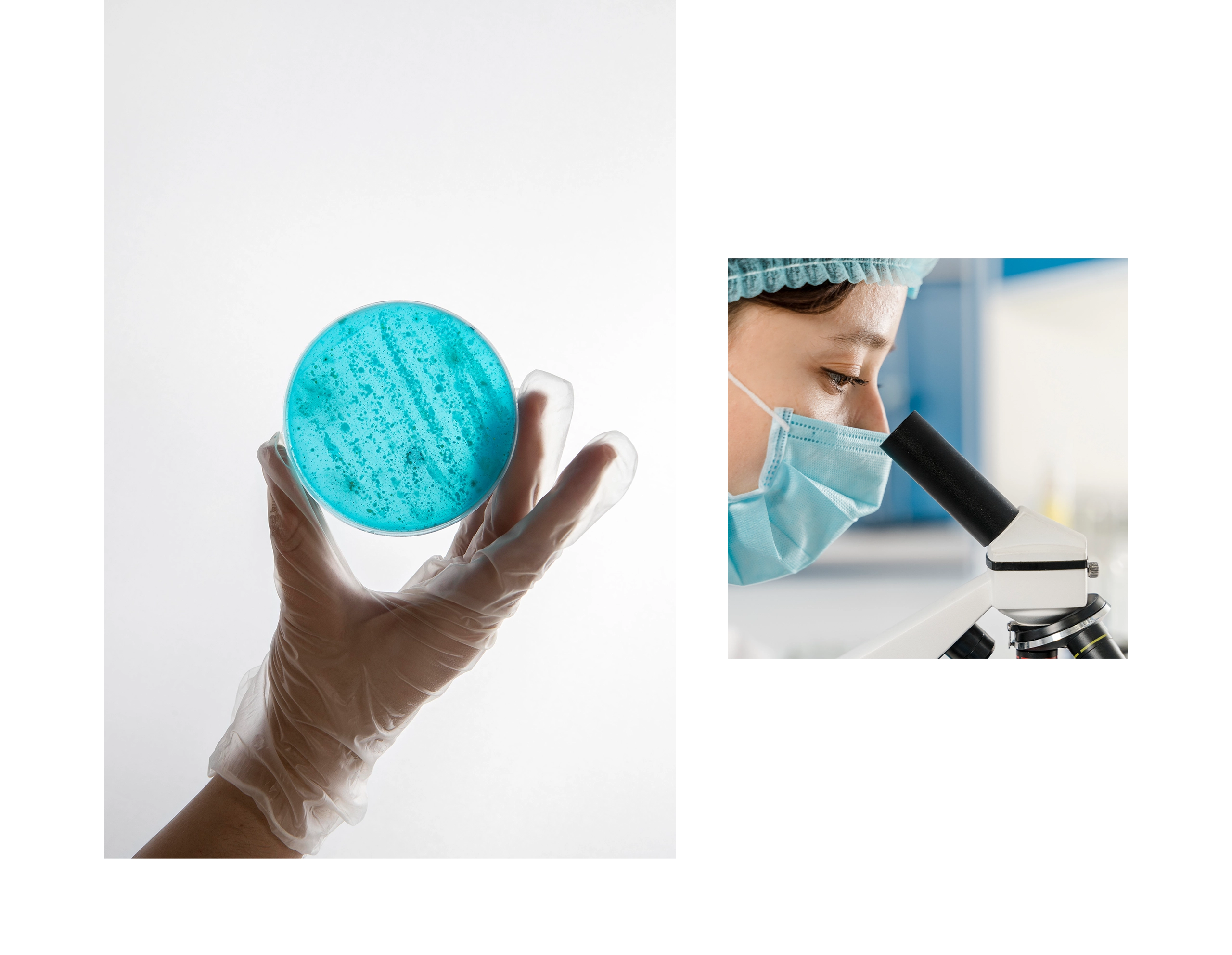 台北 中研院P3實驗室RWD網站系統 網站設計/網站管理系統 電腦版(10)