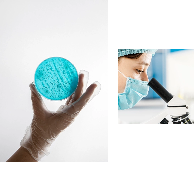 台北 中研院P3實驗室RWD網站系統 網站設計/網站管理系統 手機版(10)