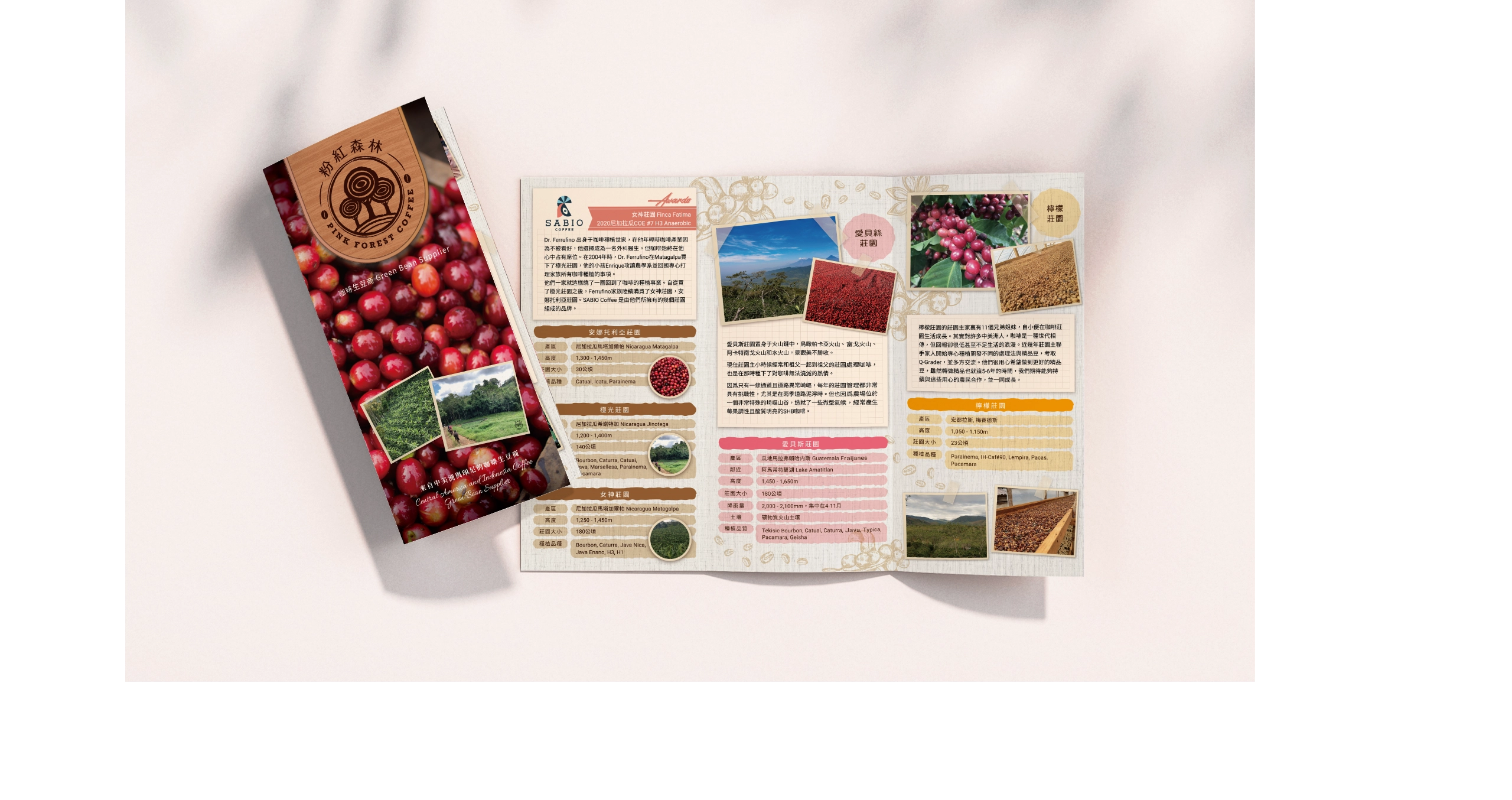 台北 粉紅森林咖啡生豆商 RWD形象官網/網站設計/平面設計/dm設計/型錄設計/展場設計 電腦版(6)