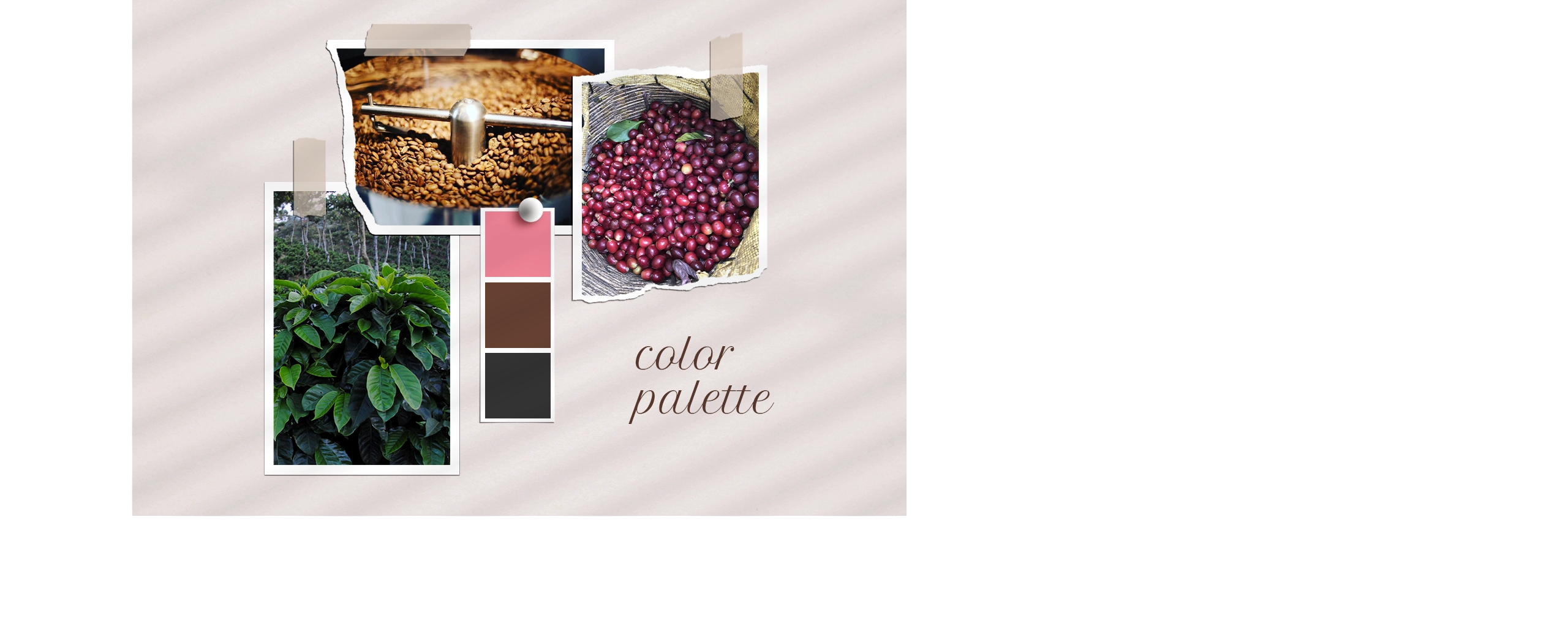 台北 粉紅森林咖啡生豆商 RWD形象官網/網站設計/平面設計/dm設計/型錄設計/展場設計 電腦版(4)