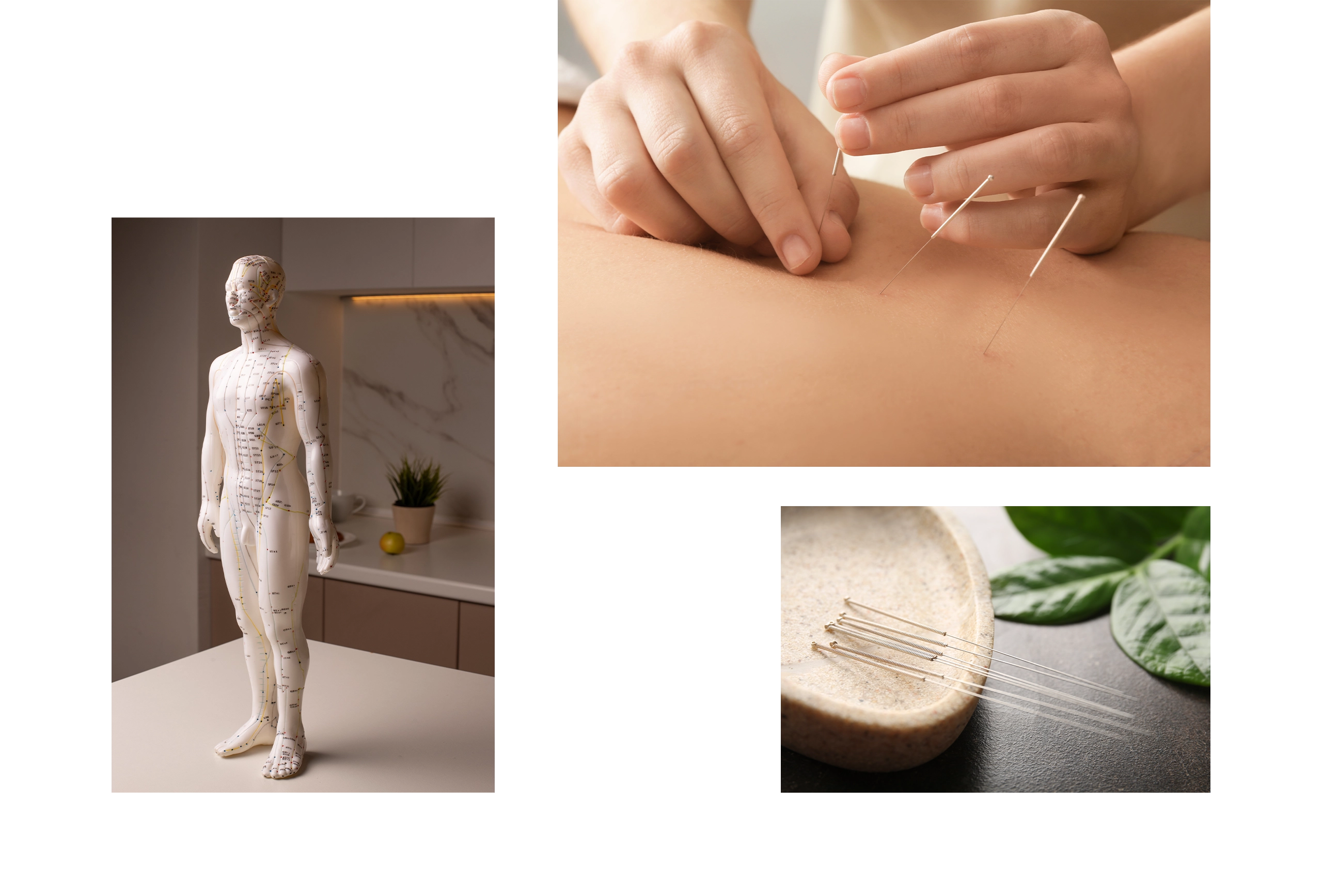 台北仁善美中醫診所 RWD掛號系統網站設計 電腦版(10)