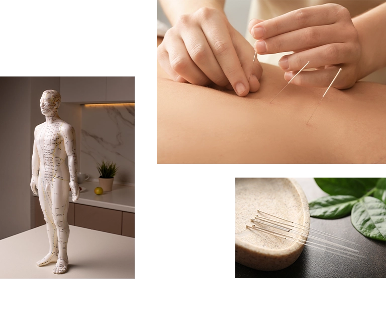 台北仁善美中醫診所 RWD掛號系統網站設計 手機版(10)