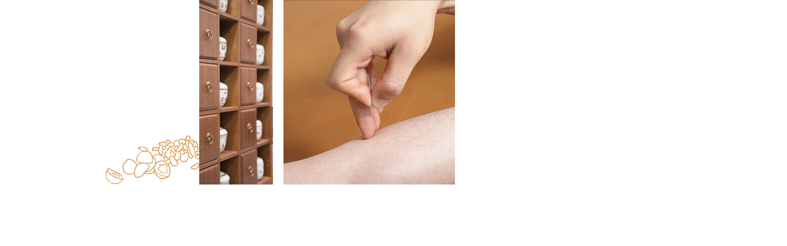 台北仁善美中醫診所 RWD掛號系統網站設計 電腦版(3)