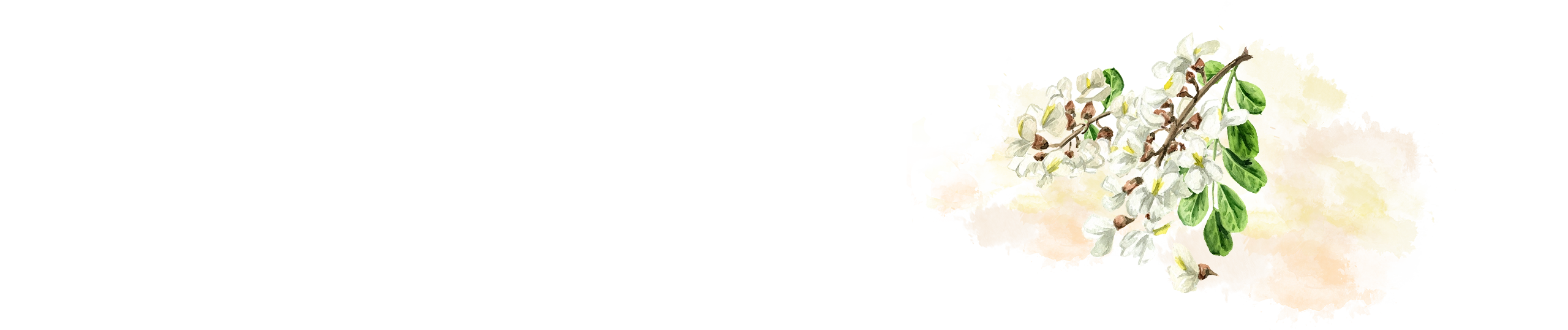 台北仁善美中醫診所 RWD掛號系統網站設計 電腦版(2)