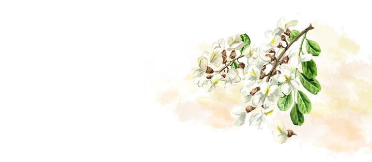 台北仁善美中醫診所 RWD掛號系統網站設計 手機版(2)