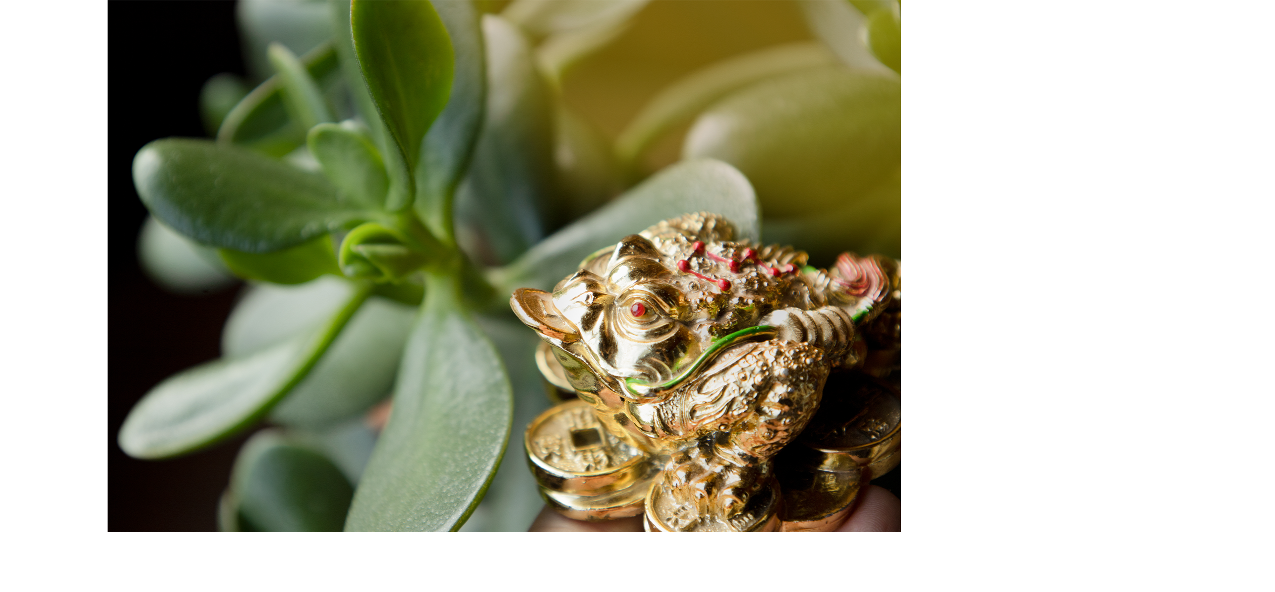 諭方老師奇門異數 RWD形象官網 / 企業網站 / 形象網站 / 官方網站 電腦版(9)