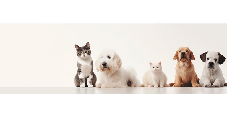 福樂寵｜科研養寵生活家 品牌設計 / ci設計 / vi設計 / logo設計 / 平面設計 / 型錄設計 / 展場設計手機版(6)