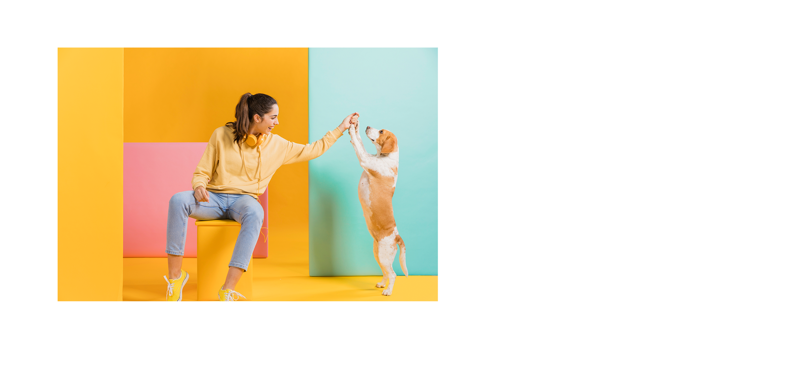 福樂寵｜科研養寵生活家 品牌設計 / ci設計 / vi設計 / logo設計 / 平面設計 / 型錄設計 / 展場設計電腦版(4)