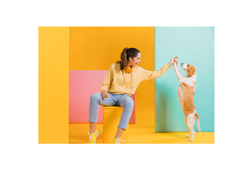 福樂寵｜科研養寵生活家 品牌設計 / ci設計 / vi設計 / logo設計 / 平面設計 / 型錄設計 / 展場設計手機版(4)