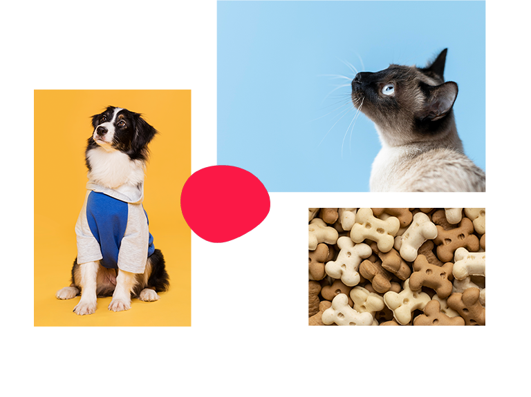 福樂寵 PET LOVE CARE RWD形象官網 [RWD網站設計 / 網頁設計 / UIUX設計 / 動態網站設計 / 形象網站設計]手機版(5)